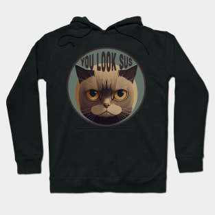 You Look Sus Cat Hoodie